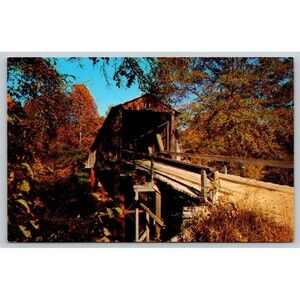 Postcard South Carolina Chapman's Old Covered Bridge Fall Autumn c1960s SC